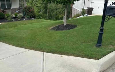 Photo of Tonia I.'s yard after getting lawn care in Cartersville, GA