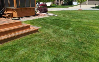 Photo of Bo D.'s yard after getting lawn care in Dyer, IN