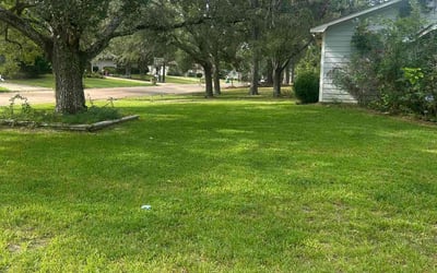 Photo of Suzy B.'s yard after getting lawn care in Ridgeland, MS