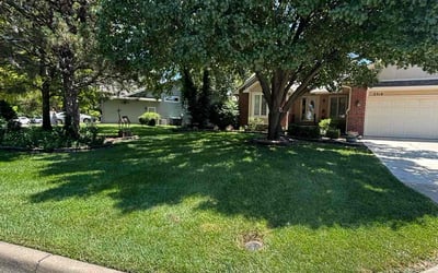 Photo of Sherry S.'s yard after getting lawn care in Hixson, TN