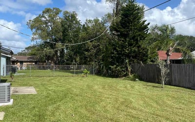 Photo of Juanita D.'s yard after getting lawn care in Islip, NY