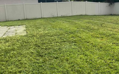 Photo of Robin L.'s yard after getting lawn care in Washington, IL