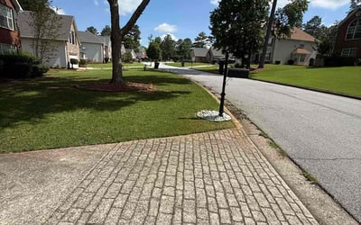 Photo of Grace H.'s yard after getting lawn care in Smyrna, GA