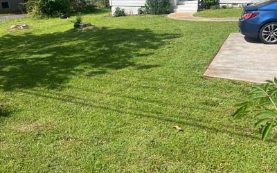 Photo of Daniel V.'s yard after getting lawn care in Decatur, GA