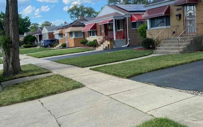 Photo of Susan D.'s yard after getting lawn care in Woodstock, IL