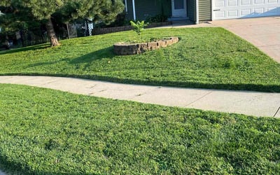 Photo of Michele S.'s yard after getting lawn care in Iowa City, IA