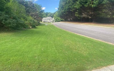 Photo of Shirley S.'s yard after getting lawn care in Jonesborough, TN