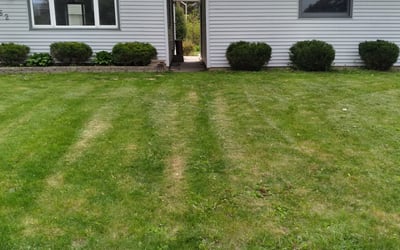 Photo of Gil R.'s yard after getting tree care in Montgomery Village, MD