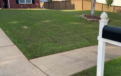 Photo of Carol V.'s yard after getting lawn care in Chamblee, GA