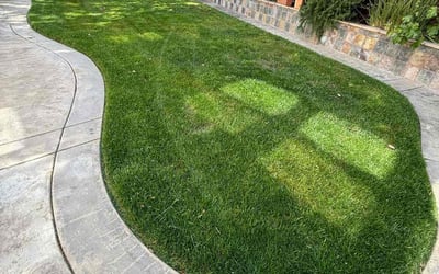 Photo of Christopher C.'s yard after getting lawn care in Pleasanton, CA