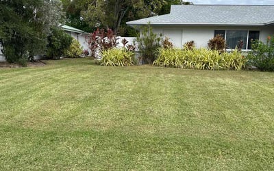 Photo of Charles M.'s yard after getting lawn care in Cape Coral, FL