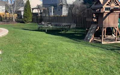 Photo of Craig C.'s yard after getting lawn care in Dekalb, IL