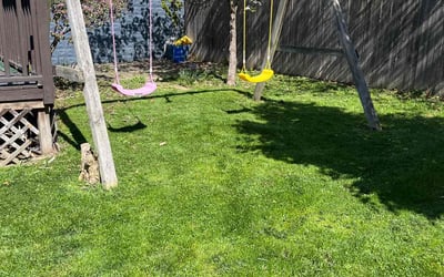 Photo of Laney B.'s yard after getting lawn care in Pittsburgh, PA