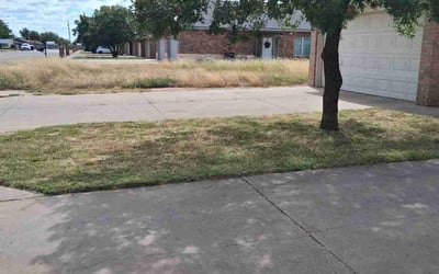 Photo of Georgeann F.'s yard after getting lawn care in San Bruno, CA