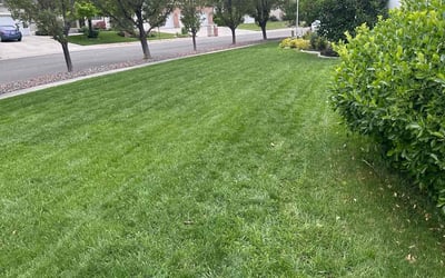 Photo of Nicole M.'s yard after getting lawn care in Farmington, UT