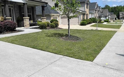 Photo of gloria G.'s yard after getting lawn care in Dacula, GA