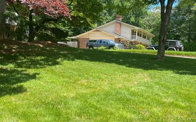 Photo of Deborah D.'s yard after getting lawn care in Tucker, GA