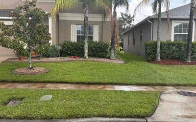 Photo of Shane C.'s yard after getting lawn care in Canyon Lake, TX