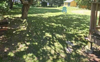 Photo of Ashley G.'s yard after getting lawn care in Shrewsbury, MA