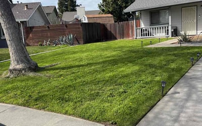 Photo of Crystal J.'s yard after getting lawn care in Modesto, CA