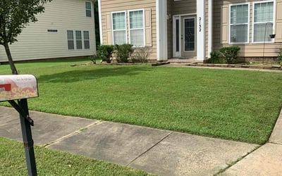 Photo of Sonya G.'s yard after getting lawn care in Covington, LA