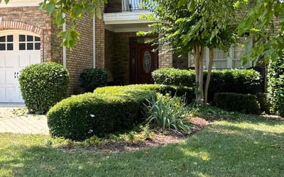 Photo of Debra B.'s yard after getting lawn care in Niles, OH