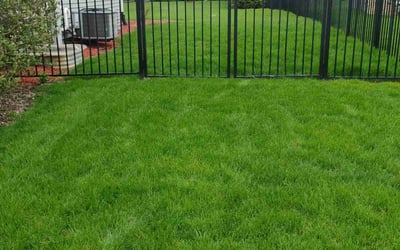 Photo of Beth M.'s yard after getting lawn care in Woodstock, IL