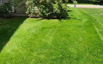 Photo of Ronald E.'s yard after getting lawn care in Inver Grove Heights, MN