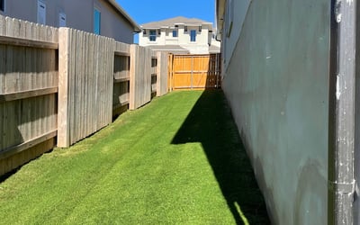 Photo of Ernesto R.'s yard after getting lawn care in Westbury, NY
