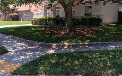 Photo of Daryl M.'s yard after getting lawn care in Baytown, TX