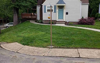 Photo of Joey S.'s yard after getting lawn care in Richmond, VA