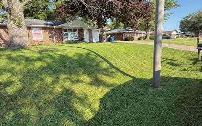 Photo of Melanie G.'s yard after getting lawn care in Wayne, MI