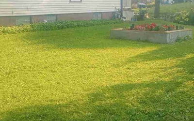 Photo of William C.'s yard after getting lawn care in Milwaukee, WI