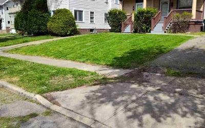Photo of Andesia D.'s yard after getting lawn care in Cleveland Heights, OH