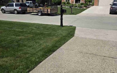 Photo of Matt B.'s yard after getting lawn care in Flushing, NY
