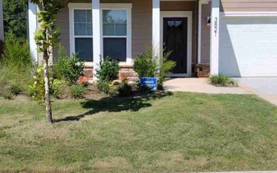 Photo of Joanie C.'s yard after getting lawn care in Princeton, NC