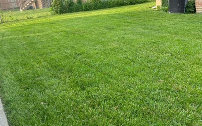 Photo of Sandra G.'s yard after getting lawn care in Maywood, IL