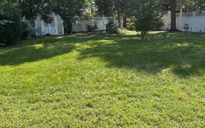 Photo of Angela P.'s yard after getting lawn care in Pasadena, MD
