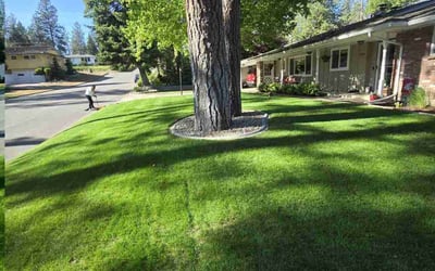 Photo of Charles D.'s yard after getting lawn care in Montgomery, IL