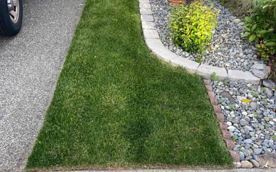 Photo of Nicole n.'s yard after getting lawn care in Renton, WA