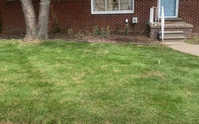 Photo of Jasmene S.'s yard after getting lawn care in Roseville, MI