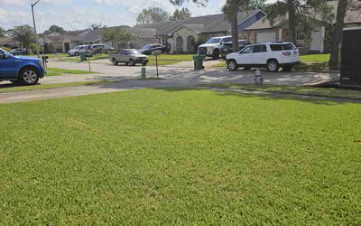 Photo of Xena K.'s yard after getting lawn care in Marrero, LA