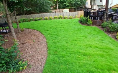 Photo of Jackie J.'s yard after getting lawn care in Greensboro, NC