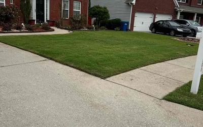 Photo of Brianna G.'s yard after getting lawn care in Bayonne, NJ