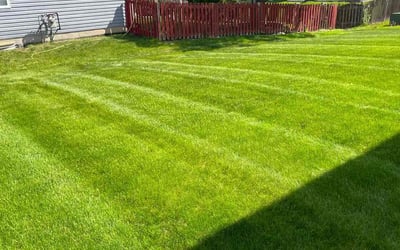 Photo of Dulce M.'s yard after getting lawn care in Romeoville, IL