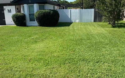 Photo of Courtney L.'s yard after getting lawn care in Bethel, CT