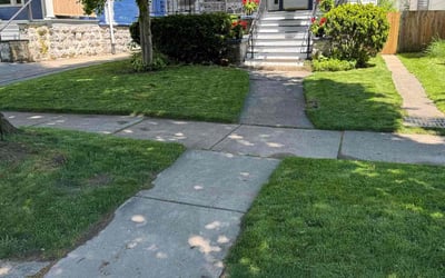 Photo of Brett T.'s yard after getting lawn care in East Aurora, NY
