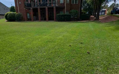 Photo of Lucky S.'s yard after getting lawn care in Chamblee, GA