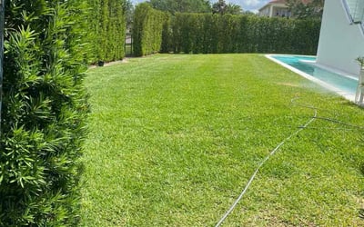 Photo of David M.'s yard after getting lawn care in Saint Cloud, FL