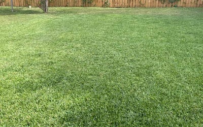 Photo of Travis N.'s yard after getting lawn care in Spotsylvania, VA